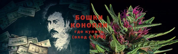 дурь Алзамай