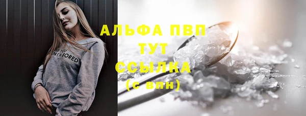 винт Абаза