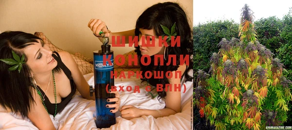 дурь Алзамай