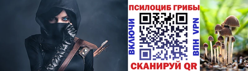 Галлюциногенные грибы Psilocybe Избербаш